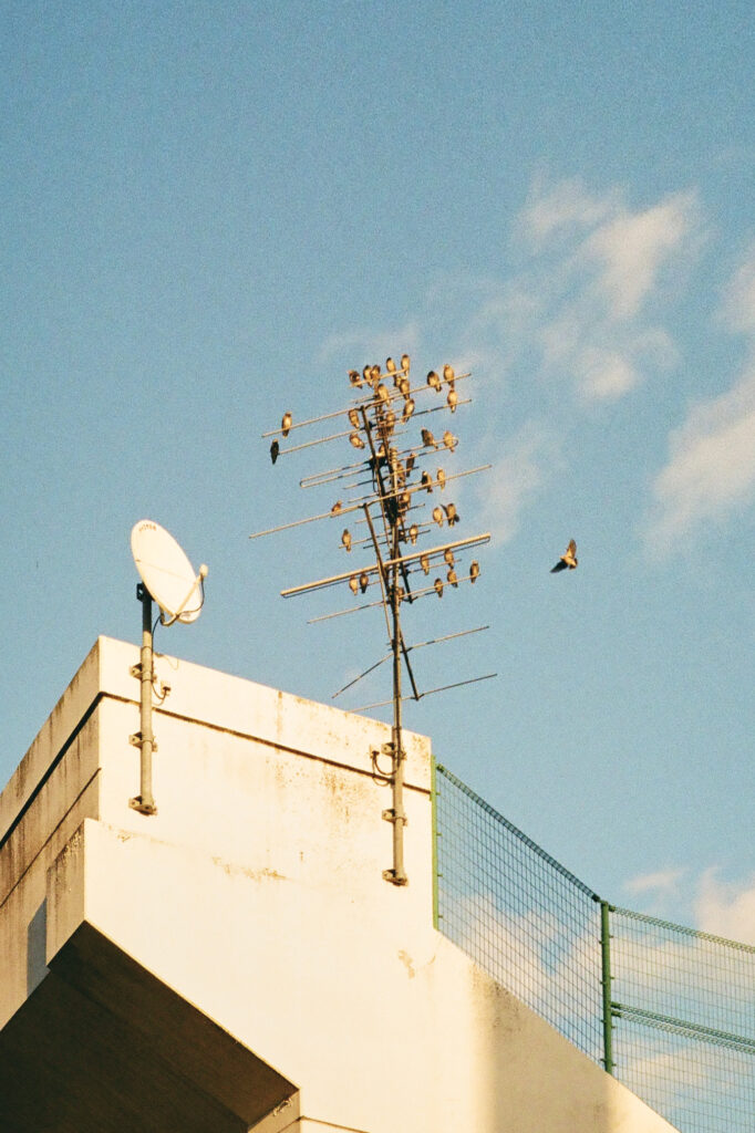 20240304-kodak-colorplus200