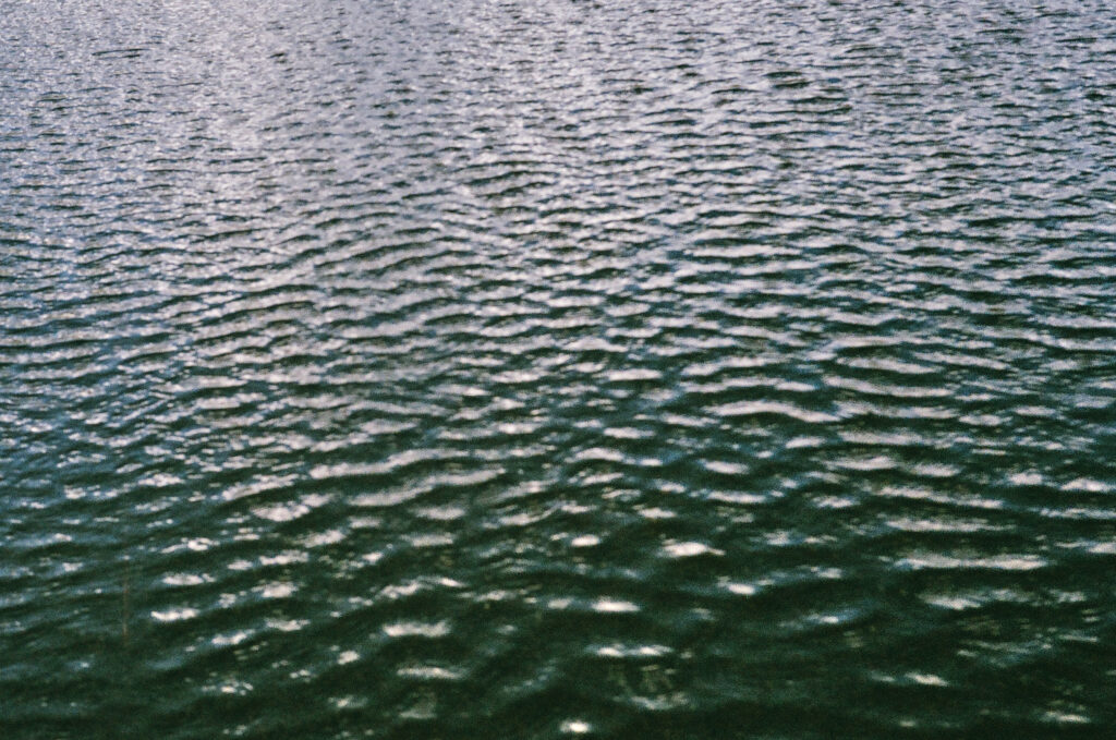 20240304-fujicolor-x-tra400