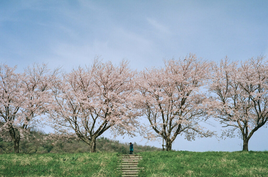 20240415-kodak-gold200